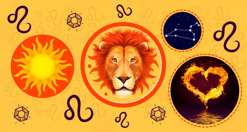 6 motivos para ter leoninxs por perto. Sim é isso mesmo que você leu!