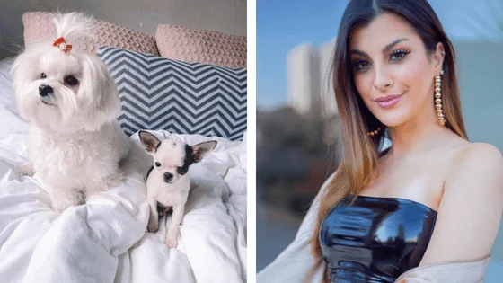 Conheça Téo, o novo integrante da família da Nah Cardoso