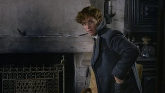 Meu Deus! O que foi esse trailer de Animais Fantásticos?