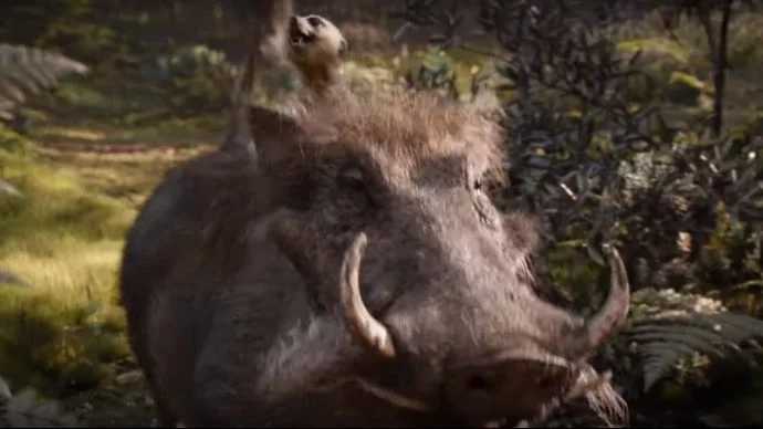 Veja como estão os personagens de 'O Rei Leão' no filme live action