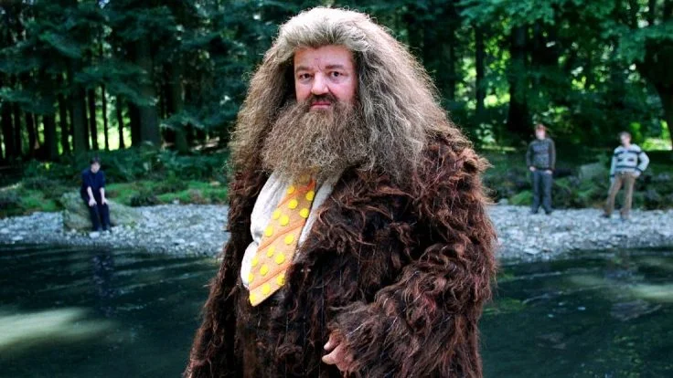 Vem ver o  Hagrid na nova montanha-russa do Harry Potter