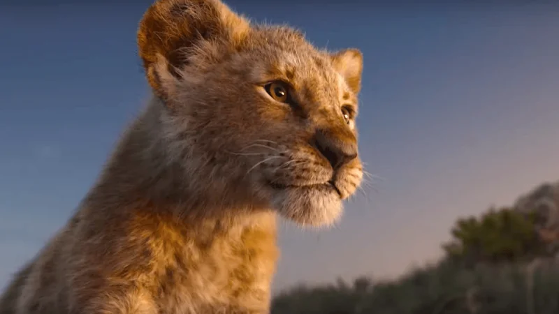 Você sabia que o Simba do novo 'O Rei Leão' foi inspirado numa leoa filhote?