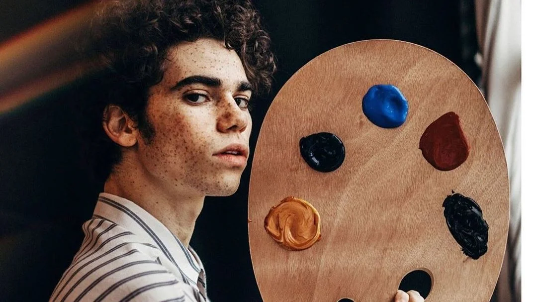 Primeiro projeto da Fundação Cameron Boyce visa o combate as armas