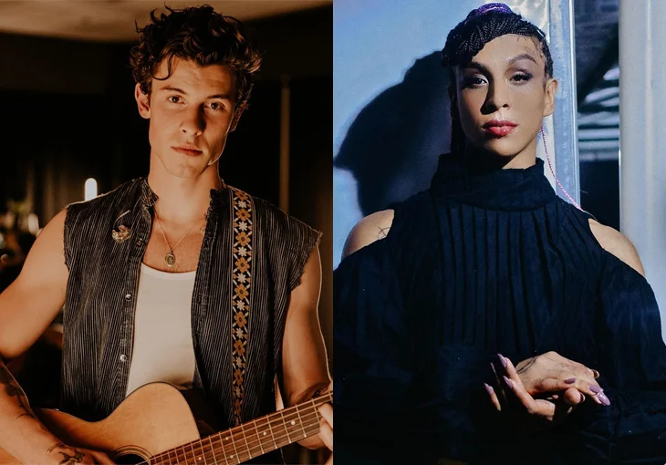 Shawn Mendes, Lady Gaga e outras celebs cedem instagram para ativistas pretos