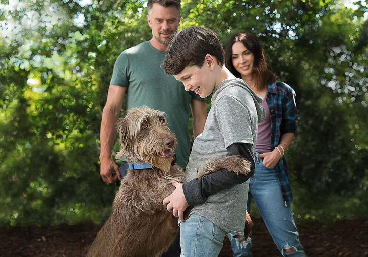 ‘Uma Mente Canina’: Conheça o divertido filme que está no Top 10 da Netflix!