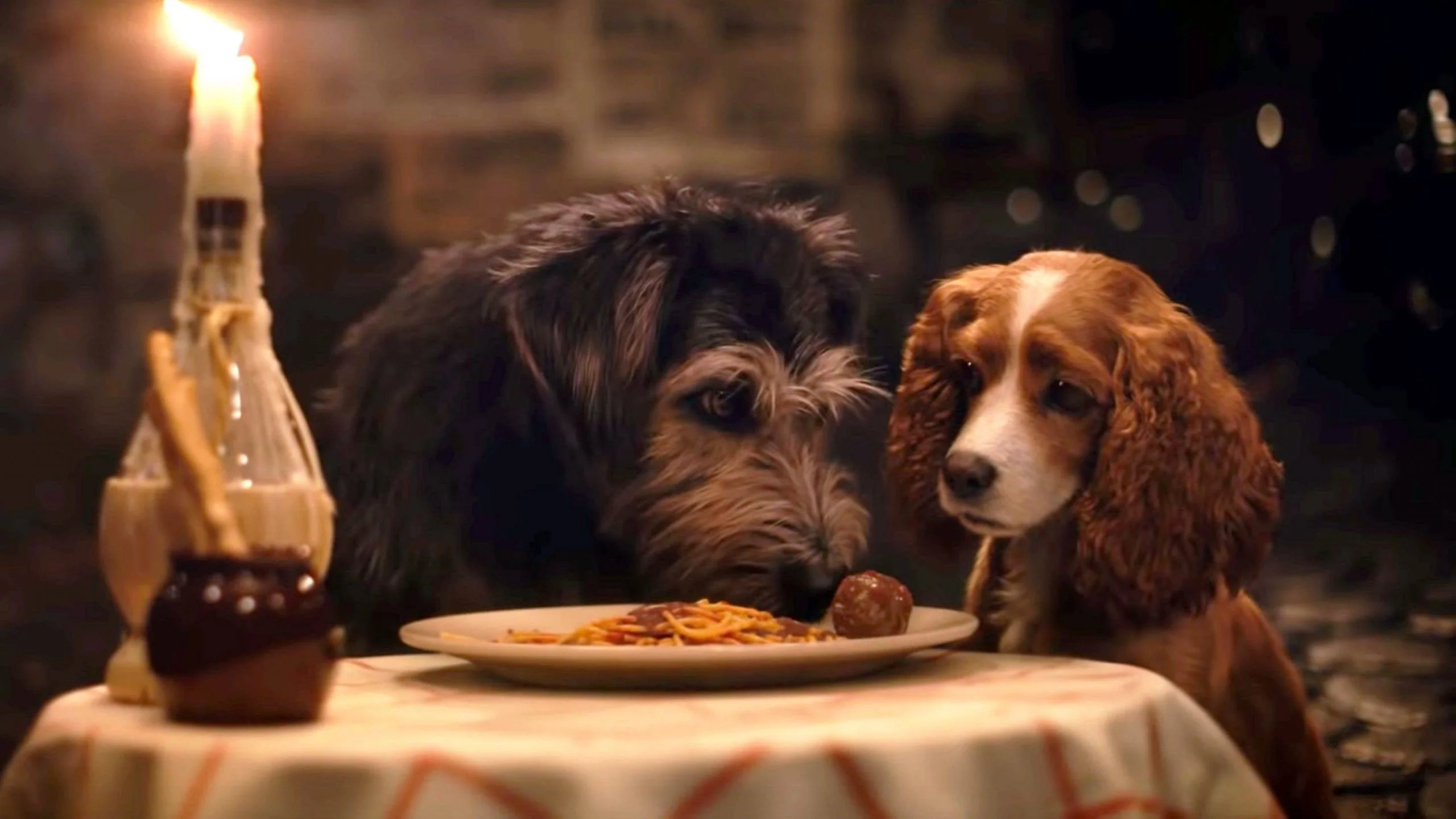 ‘A Dama e o Vagabundo’ ganha trailer legendado e data de estreia no Brasil!