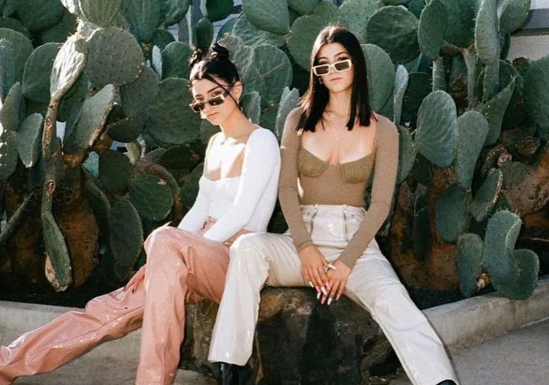 Charli perde seguidores e Dixie faz vídeo explicando o que rolou! Vem saber da polêmica envolvendo as girls