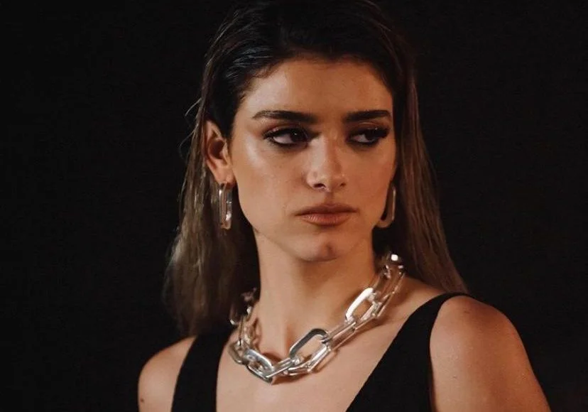 Dixie D’Amelio deletou seu perfil no Twitter e o motivo é  bastante sério! Entenda