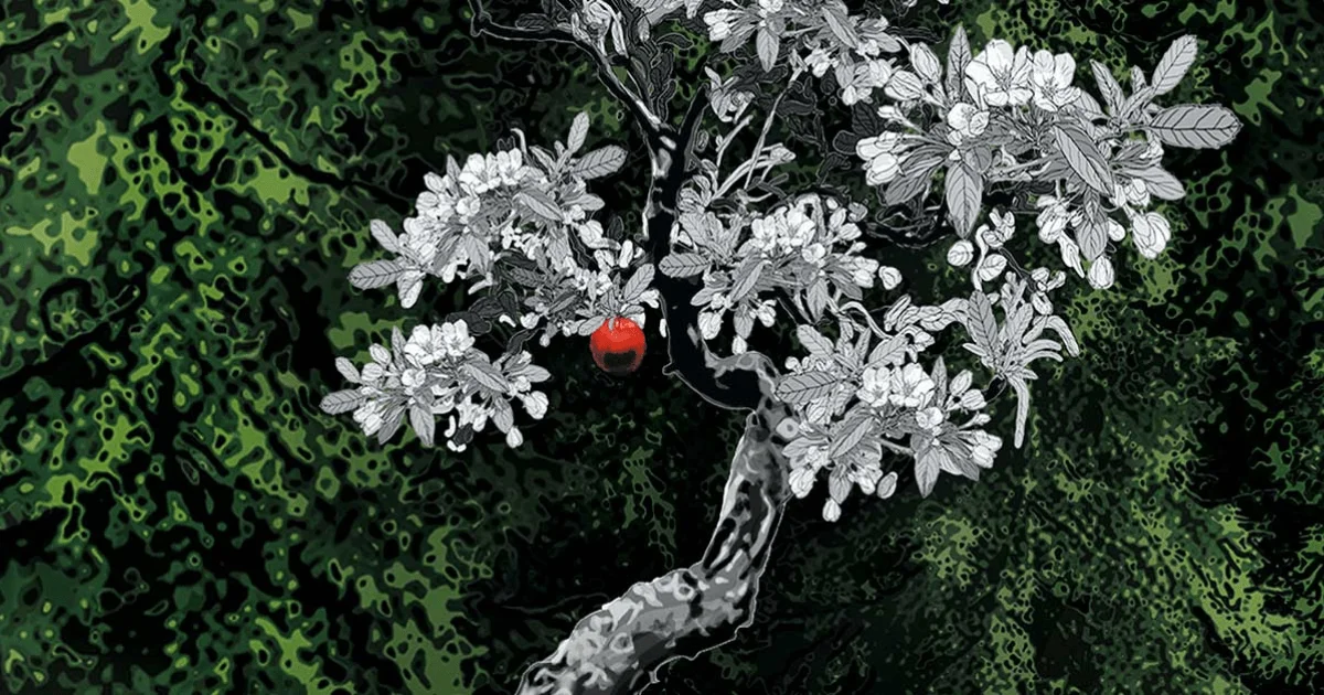 ‘Crepúsculo’ ganha novas versões de luxo com detalhes únicos!