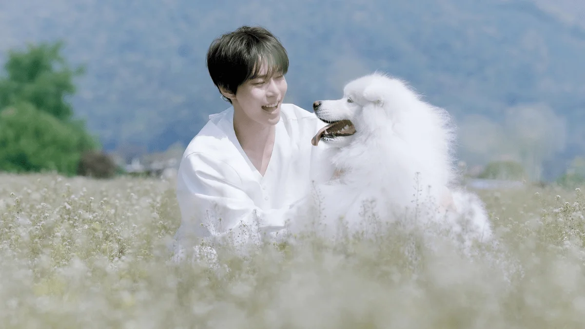 DOYOUNG do NCT retorna com mais um disco brilhante!