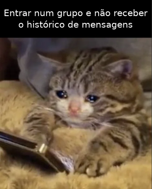 Meme do gato chorando segurando o celular: entrar num grupo do WhatsApp e n&atilde;o receber o hist&oacute;rico de mensagens