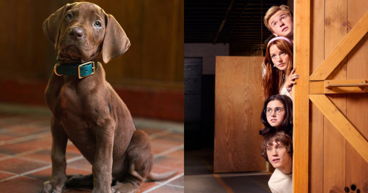 Netflix divulga visual de Scooby-Doo em sua série live-action! Veja o que sabemos da produção